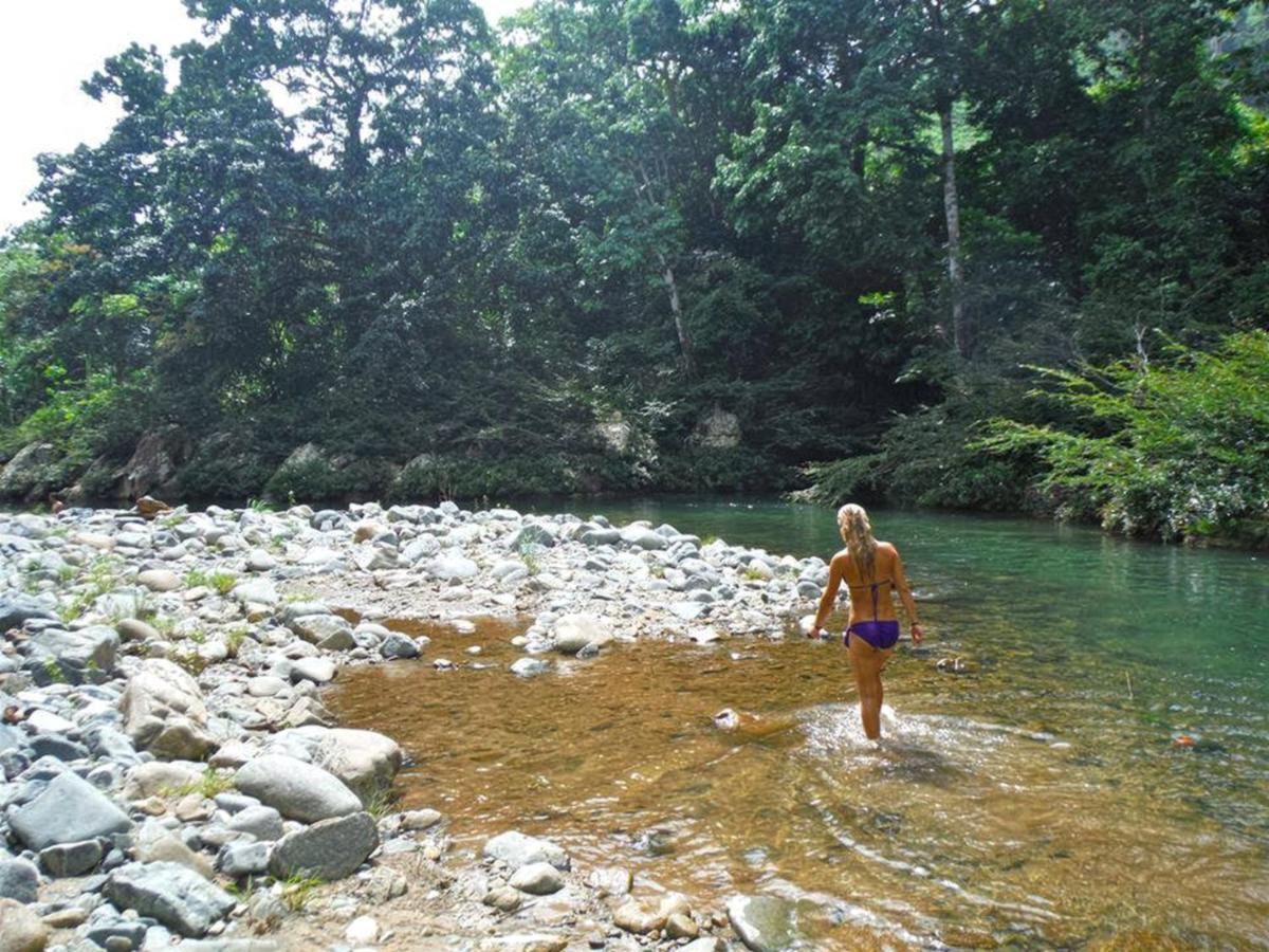The Jungle Lodge At Kalu Yala Panama Dış mekan fotoğraf